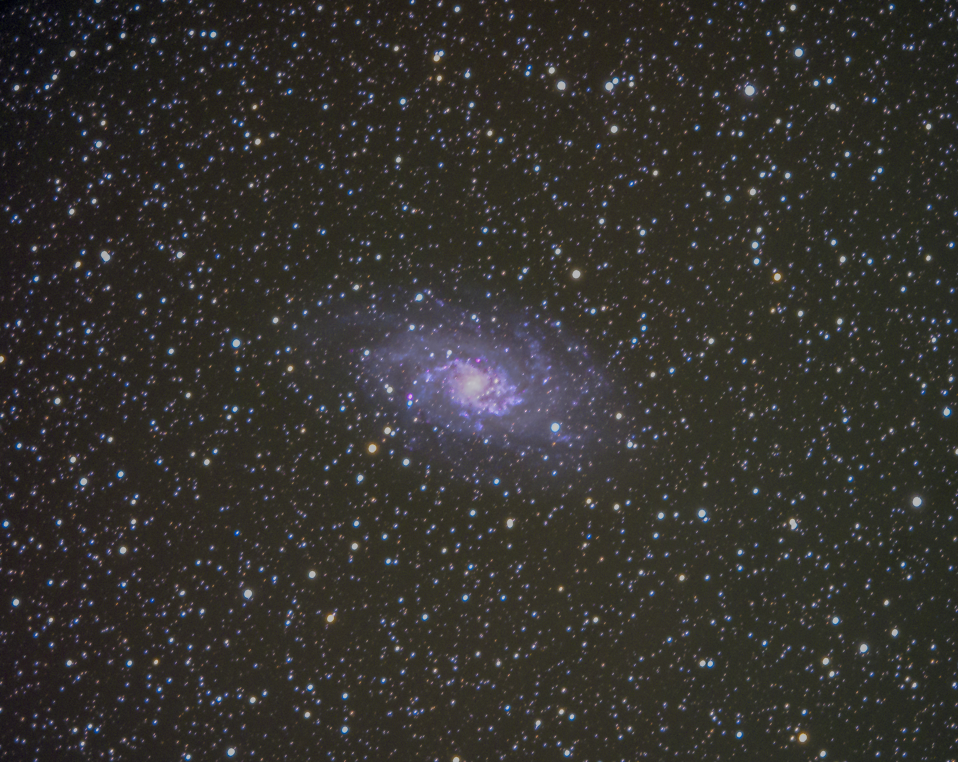 M33  