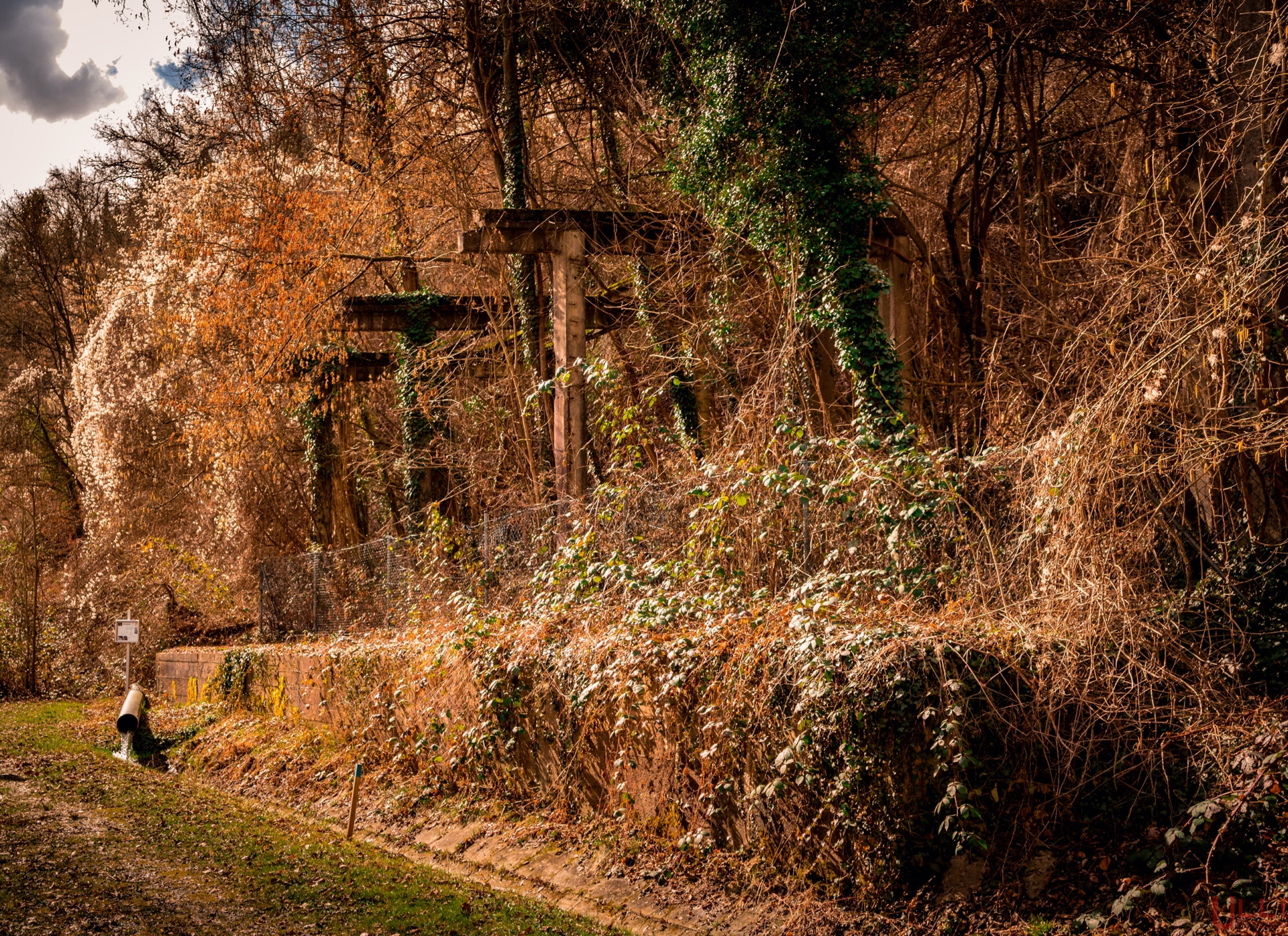Goldfisch Umladestation2