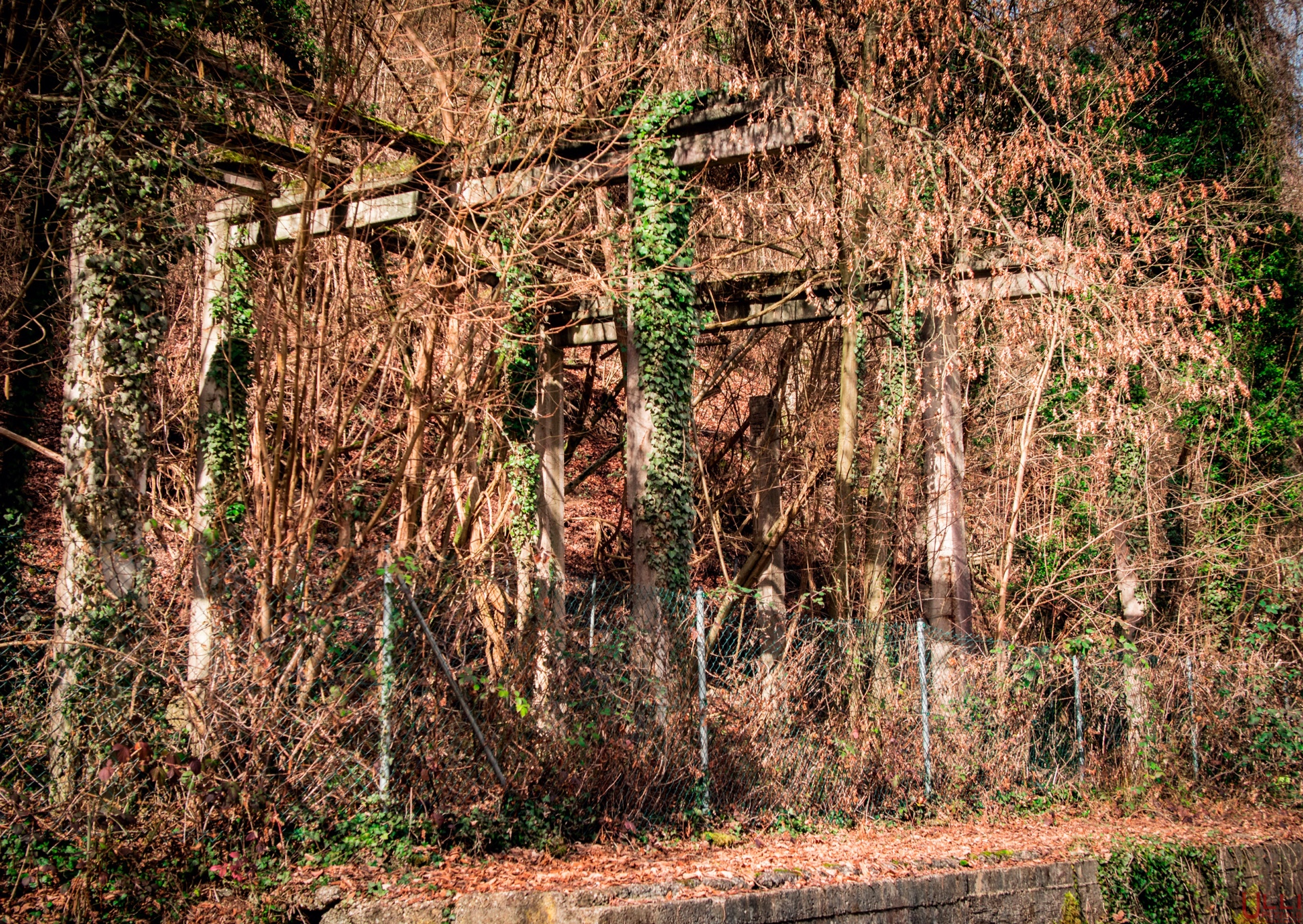 Goldfisch Umschlagstation