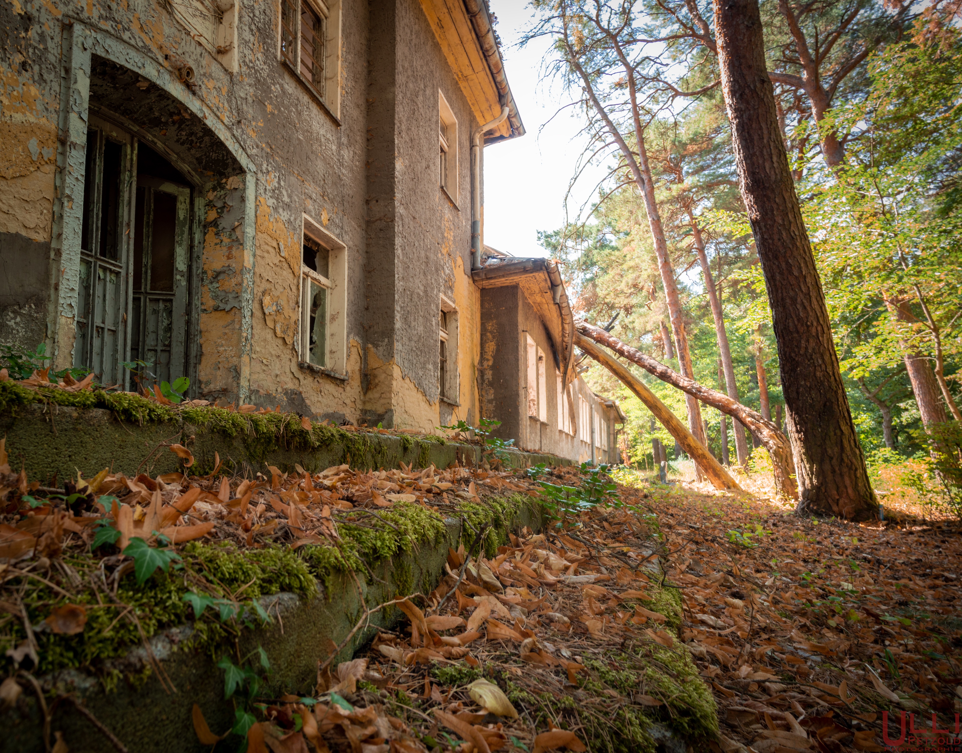 Flugplatz Sperrenberg4